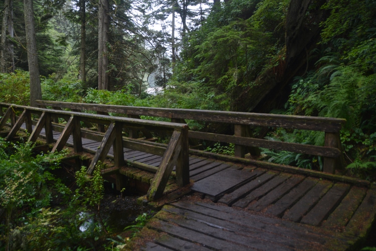 old bridge